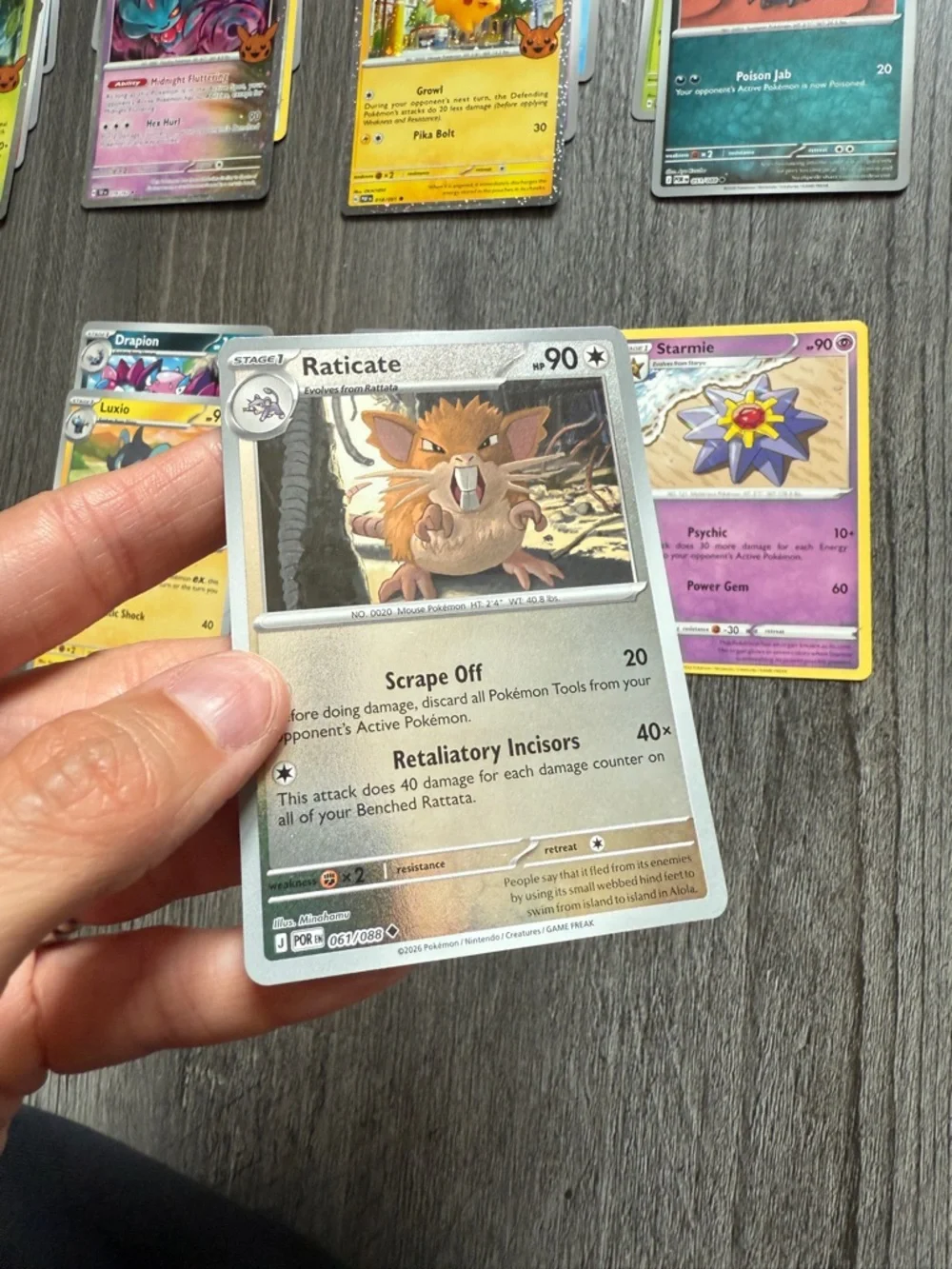 Pokémon Card Lot 55 Assorted Basic Items Trainers Energy Cards